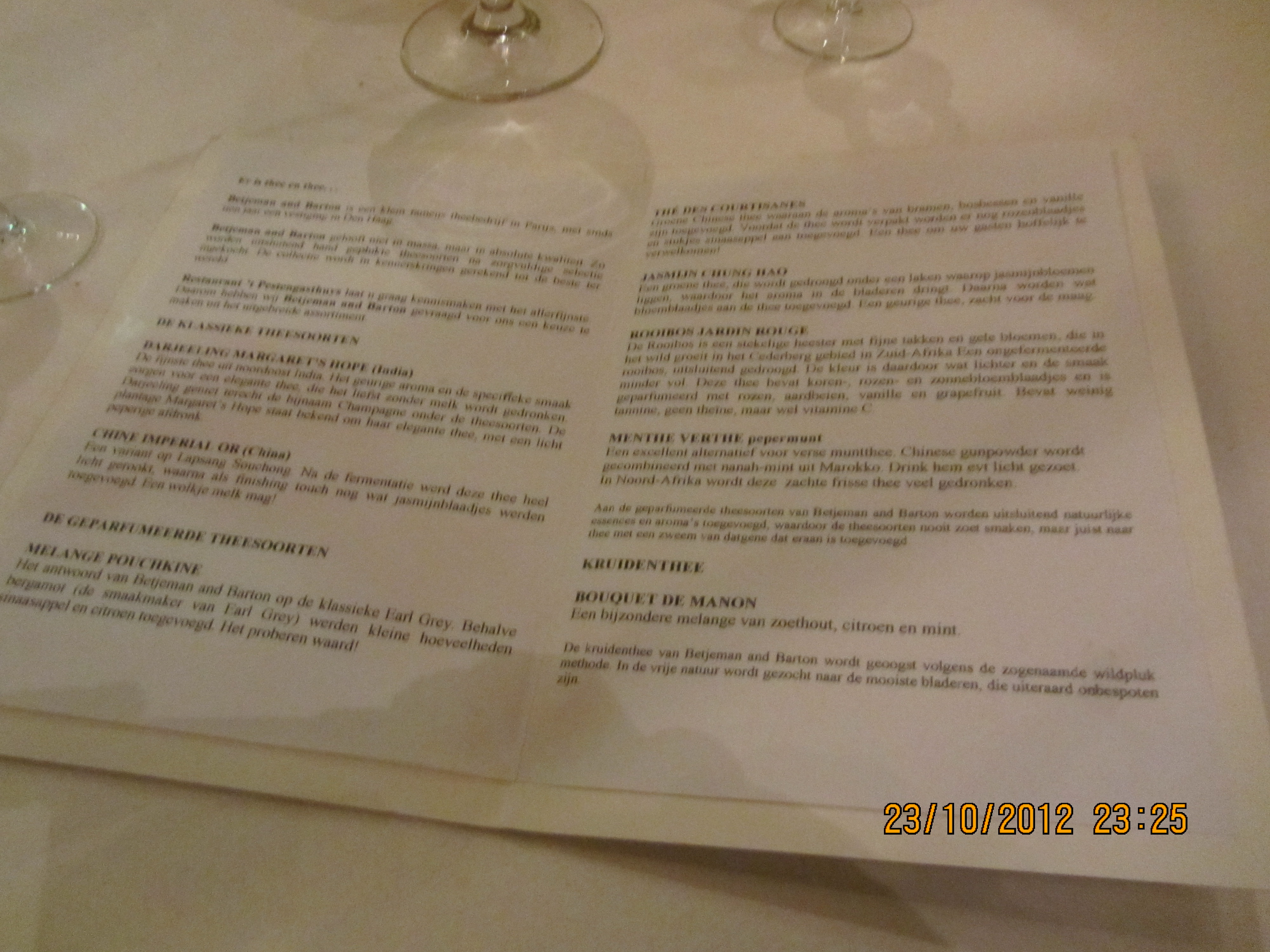 Ipad Marianne 057.JPG